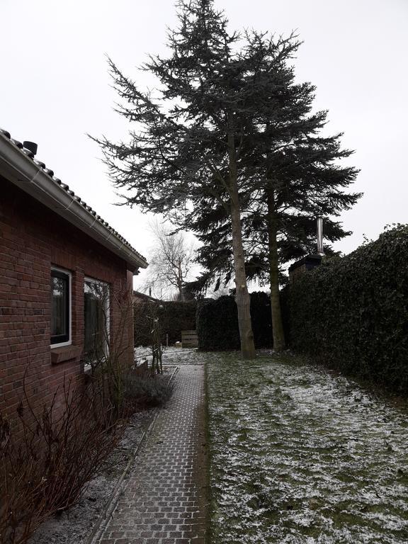 Zomerhuis De Zeedistel Egmond aan den Hoef Bagian luar foto